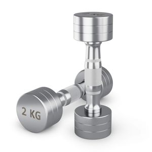 Гантель UNIX Fit PRO круглая хромированная 2 кг, 2 шт. UNIX Fit™ DBRND2PCEx2