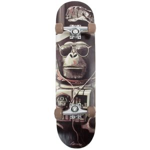 Скейтборд Larsen PARK 2 р31