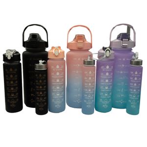 Набор из 3-х спортивных бутылок WB03-MATR поликарбонат (violet/green) - WB03-MATR