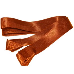 Ремешок для переноски ковриков и валиков Larsen PS 160 x 3,8 см коричневый (полиэстер) Larsen 364396