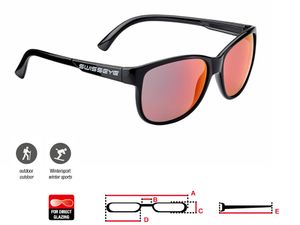 Очки SWISSEYE Cleanocean 1 black shiny - smoke BR Revo SWISSEYE FSW31602