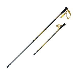 Палки для скандинавской ходьбы NWS-120 RGX NWS-120