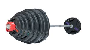 Штанга олимпийская 218 кг (диски с двумя хватами) Original FitTools FT-2HGSET-218
