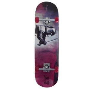 Скейтборд Larsen STREET 3 р31