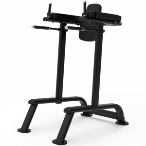 Impulse ITF8701 поднятие коленей / брусья