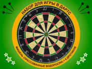 Дартс Champion Tournament: BL1818В-2