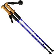 Палки для скандинавской ходьбы 2-х секционные с чехлом (синие) до 1,35м Телескопическая R18143-PRO 10014699