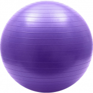 Мяч гимнастический Sportex Anti-Burst 65 см (фиолетовый) FBA-65-4 10018809