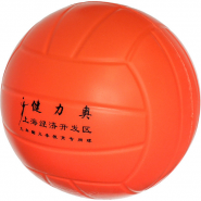Мяч волейбольный E33493 10020163