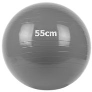 GM-55-1 Мяч гимнастический "Gum Ball"  55 см (серый) 10022099