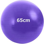 Мяч гимнастический GMA-65-D Anti-Burst  65 см (фиолетовый) 10022114