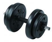 Гантель сборная Lite Weights 3108CD 8 кг х 1 шт