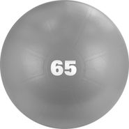 Мяч гимнастический TORRES AL122165GR 65 см антивзрыв с насосом серый
