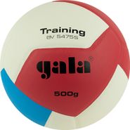 Мяч вол. GALA Training Heavy 12, BV5475S, р.5, вес 500 г,синт.кожа.ПУ,клееный,бут.кам,бел-син 5 GALA BV5475S