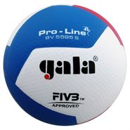 Мяч волейбольный GALA Pro-Line 12 FIVB BV5595S размер 5