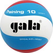 Мяч волейбольный GALA Training 10 BV5567S размер 5