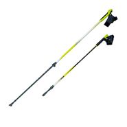 Палки для скандинавской ходьбы NWS-118 RGX NWS-118