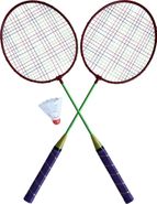 Набор для бадминтона Atemi, 2 ракетки + волан, сталь, зеленый, BAS-10 ATEMI 00000105917