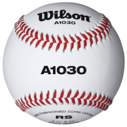Мяч для бейсбола Wilson Championship WTA1030FS