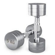 Гантель UNIX Fit PRO круглая хромированная 5 кг, 2 шт. UNIX Fit™ DBRND5PCEx2