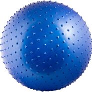 Мяч массажный TORRES 65 см с насосом AL100265