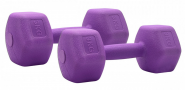 Гантели для фитнеса SportElite H-203 2шт х 3кг, фиолетовый Гантели для фитнеса SportElite H-203 2шт х 3кг, фиолетовый SportElite