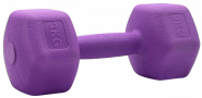 Гантель для фитнеса SportElite H-103 1шт х 3кг, фиолетовый 