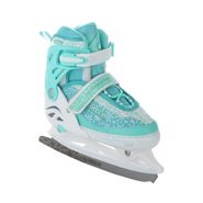 Раздвижные коньки Winter mint (с мехом) (L (39-42)) Alpha Caprice Winter mint