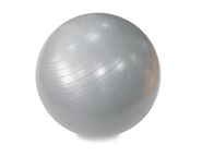 Гимнастический мяч Fitness Division 55 см серый