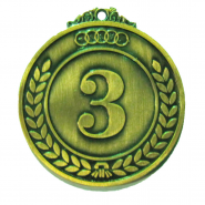 Медаль 3 место классическая 5027 бронза 50 мм 9997