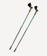 Палки для скандинавской ходьбы Travel Forest, 115 см, цельные, зеленый