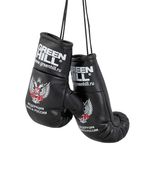 Перчатки боксерские AG-1008FBR сувенирные, черный Green Hill УТ-00021412