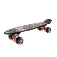 Мини-круизер PNB-07 (22") 209 светящиеся колеса RGX PNB-07 209