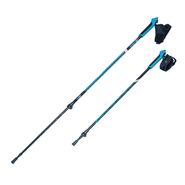 Палки для скандинавской ходьбы NWS-116 RGX NWS-116