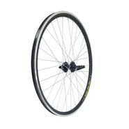 Колесо 28" зад., обод дв. ал. б/пист. чёр., втулка ст., диск, с эксц., чёр. ВЕЛООЛИМП ZVO22510