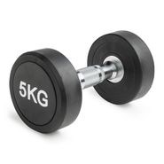 Гантель неразборная круглая 5 кг. VictoryFit VF-R050