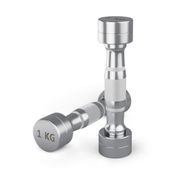 Гантель UNIX Fit PRO круглая хромированная 1 кг, 2 шт. UNIX Fit&trade; DBRND1PCEx2