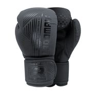 Боксерские перчатки RBG-390 Black (12 oz)