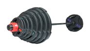 Штанга олимпийская 180 кг (диски с двумя хватами, черный гриф) Original FitTools FT-2HGSET-180-BLACK