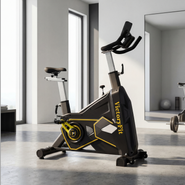 Спинбайк VF-GymRider 225 Black