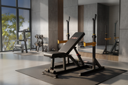 Скамья силовая и стойка для штанги VictoryFit VF-T25