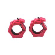 AeroFit AFPC02 пластиковый замок