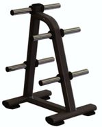 AeroFit AFSDD стойка для хранения дисков
