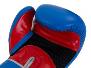 Перчатки боксерские (нат.кожа) Jabb JE-2010L синий/красный 10ун. 311004