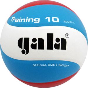 Мяч волейбольный GALA Training 10 BV5567S размер 5